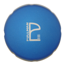 Blue Palm SALE